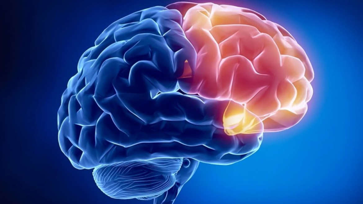 Neuroplasticity & Mindfulness – Making Positive Mental Change
